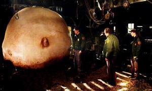 撕裂人在线观看,惊悚悬疑，人性边缘的极限挑战